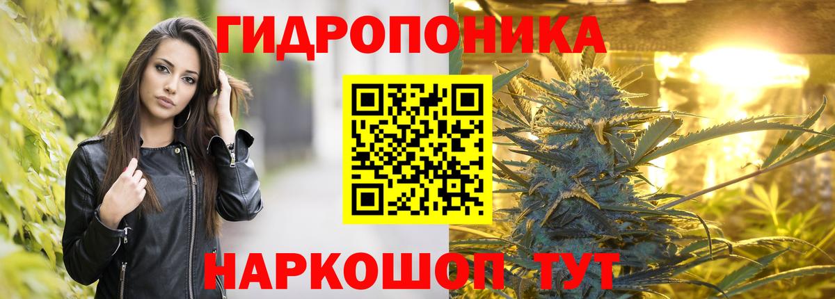 Конопля марихуана  Шишки марихуана сатива  Ялта  Вход с VPN  Бошки марихуана OG Kush 